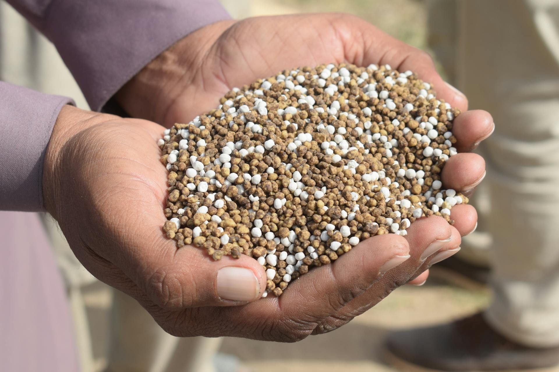 Maior fornecedor de fertilizantes do Brasil, Rússia interrompe exportações de nitrato de amônio por um mês